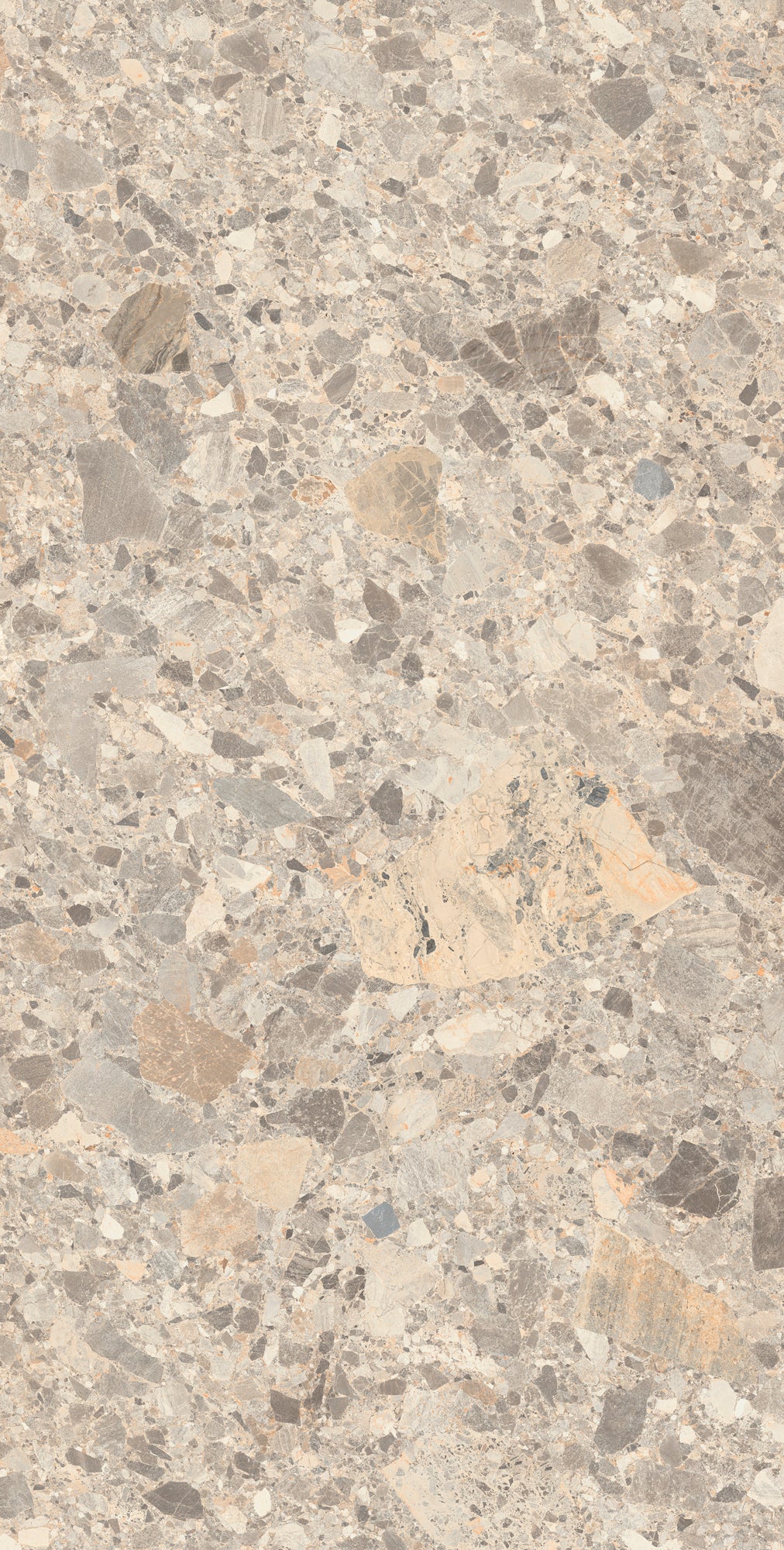 Vloertegel – Wandtegel Torino Mocha mat 60×120 gerectificeerd R9