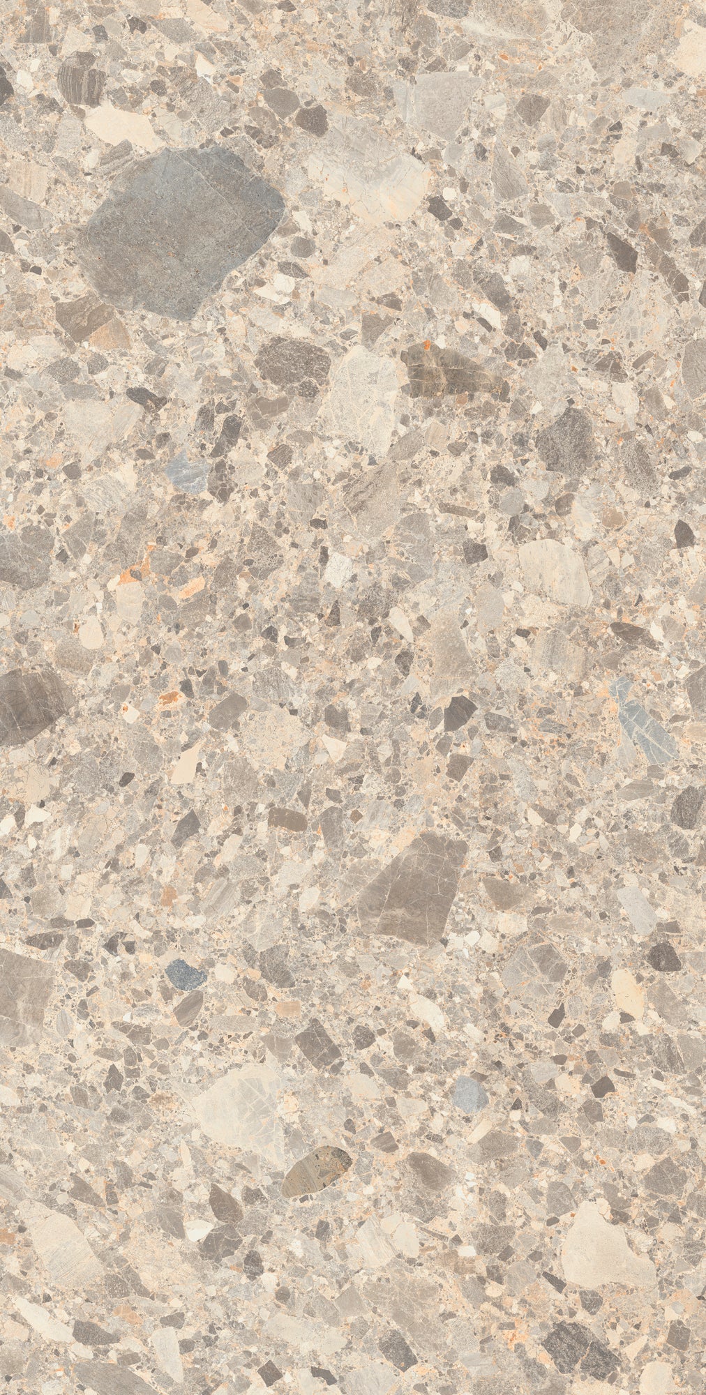 Vloertegel – Wandtegel Torino Mocha mat 60×120 gerectificeerd R9 4